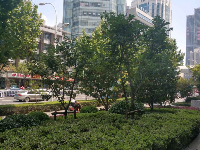 正阳大厦,震川路,近人民路-昆山正阳大厦二手房,租房,房价-昆山安居客