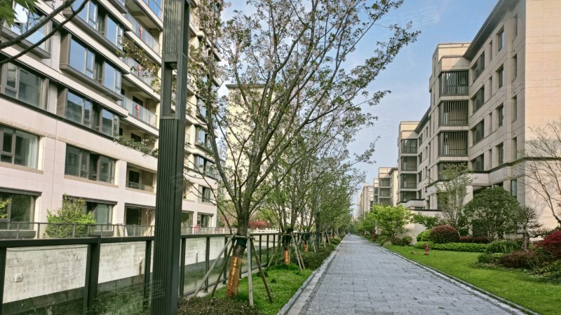 泊璟廷(二期),海晏南路,近兴宁东路-宁波泊璟廷(二期)二手房,租房