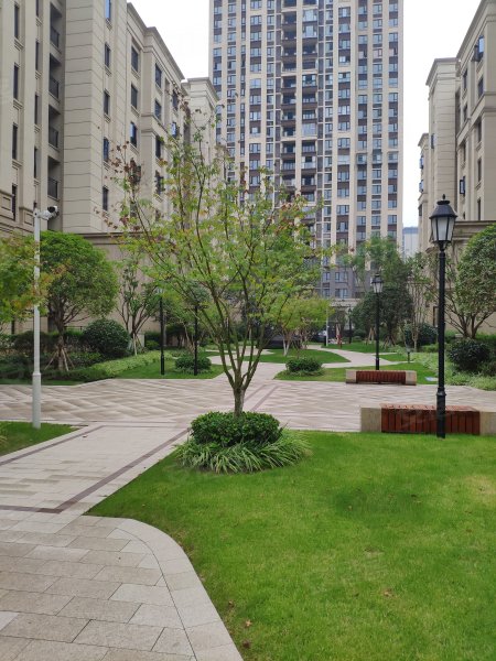 融创江南融府(洋房),秉乐路1,9号-重庆融创江南融府(洋房)二手房,租房