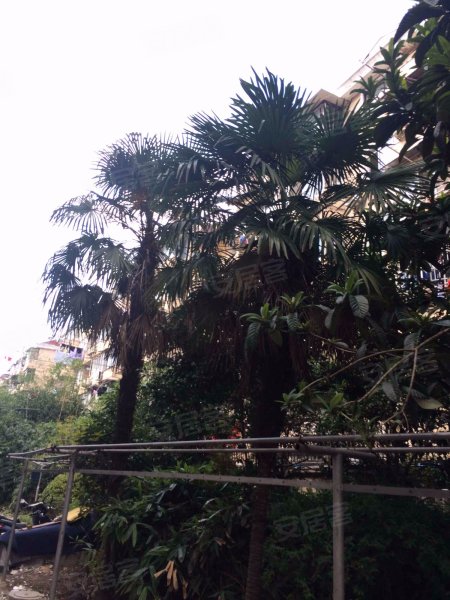 昌里路158,160号小区 