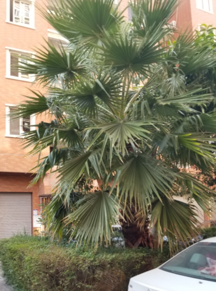 荣德家园,汤家桥路-温州荣德家园二手房,租房,房价-温州安居客