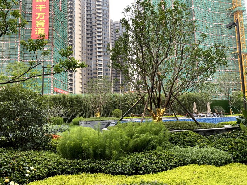 龙光玖誉城,永安大道-肇庆龙光玖誉城二手房,租房,房价-肇庆安居客