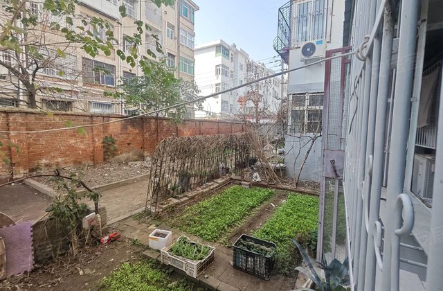 南阳市五中家属院3室2厅96㎡41.8万二手房图片