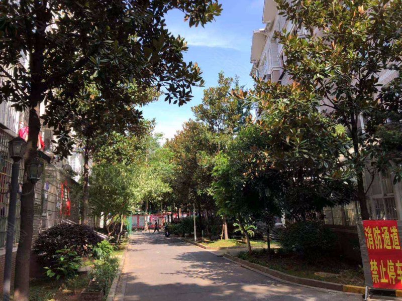 水榭花城东城,光荣路123号-常德水榭花城东城二手房,租房,房价-常德