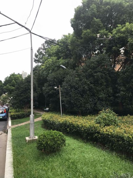 胶州教师公寓,常德路999号,胶州路718弄2号,胶州路728号-上海胶州教师