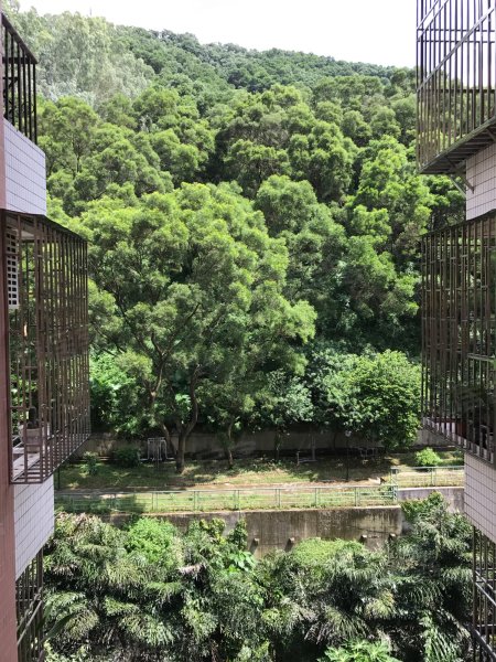 翠景山庄,翠竹北路30号-深圳翠景山庄二手房,租房,房价-深圳安居客