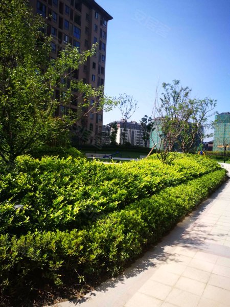 紫金华府(一期),顾家营路77号-南京紫金华府(一期)二手房,租房,房价