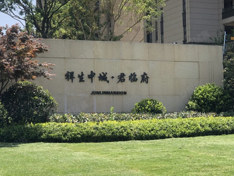 祥生中城君临府