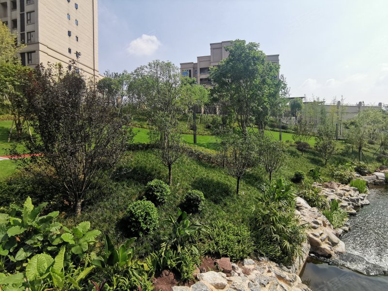 中伦金海岸,华山南路23号-重庆中伦金海岸二手房,租房,房价-重庆安居