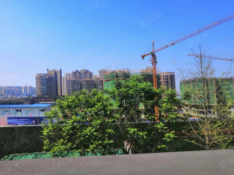 鸿通公园1988,新城一路-南充鸿通公园1988二手房,租房,房价-南充安居