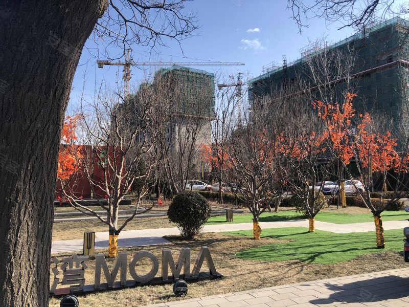 西山上品湾moma