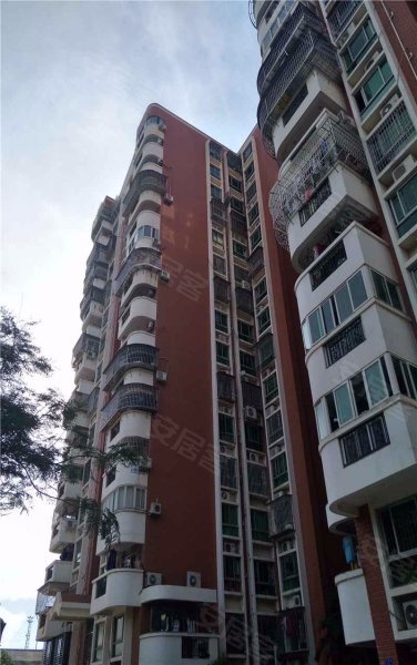 信达大厦,兴隆路7,11,13号-厦门信达大厦二手房,租房,房价-厦门安居客