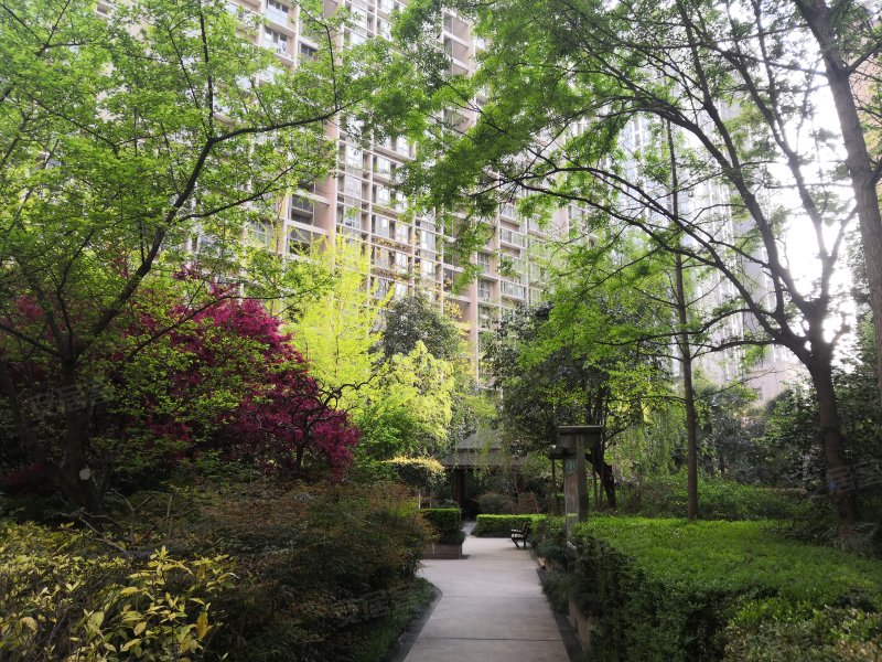 天地源枫林绿洲