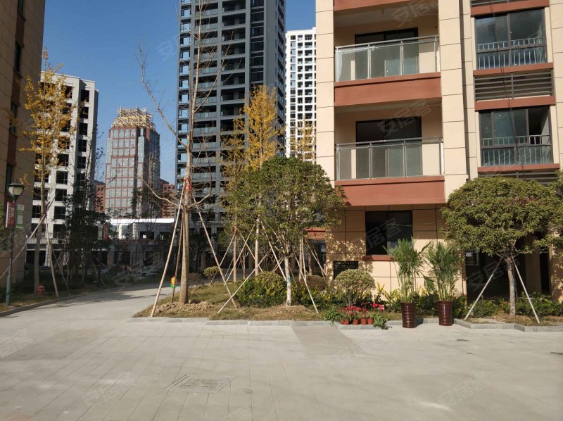 歌山琴岚学府,艺海北路-金华歌山琴岚学府二手房,租房,房价-金华安居