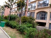 蓝庭国际,2室39万,看房有钥匙,泉城对过,可贷款,急售