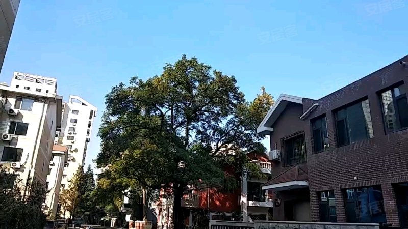 河畔花园(别墅)