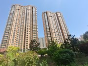 商业配套成熟 精装好房 电梯房 朝南 车位充足 出行方便,梧桐苑二手房