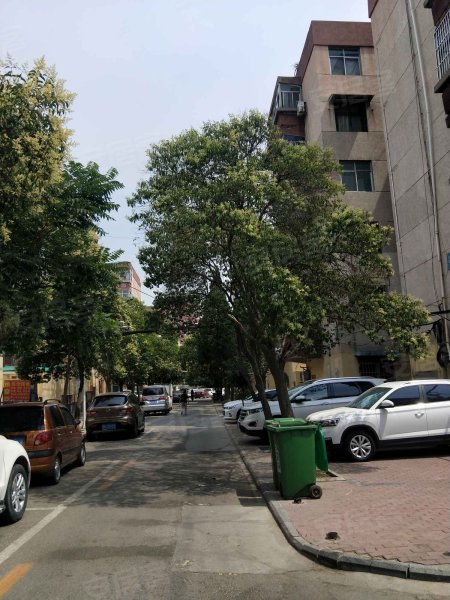 红星小区(任城)