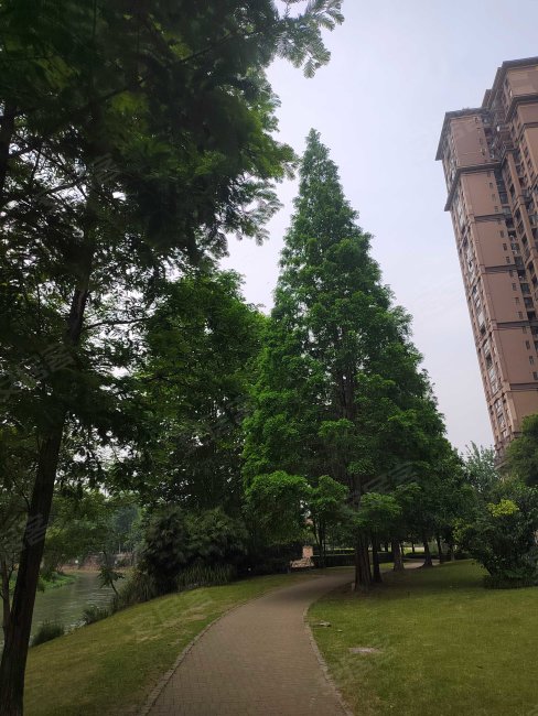 成都房产网>成都二手房>温江二手房>万春镇二手房>鹭湖宫5区>488_650