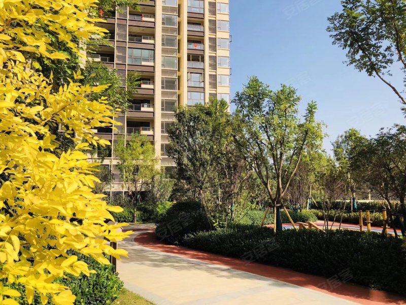 中岳俪景湾,鼎瑞街-郑州中岳俪景湾二手房,租房,房价-郑州安居客