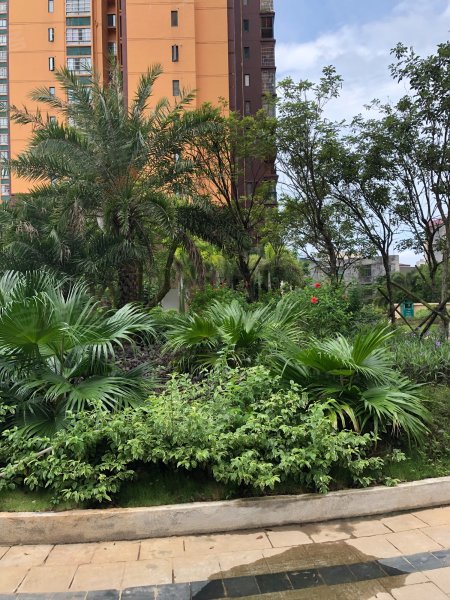 龙凤花园,新大洲大道-海口龙凤花园二手房,租房,房价-海口安居客