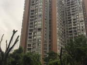 南岸区 金港尚城 三房 住家装修 带转角