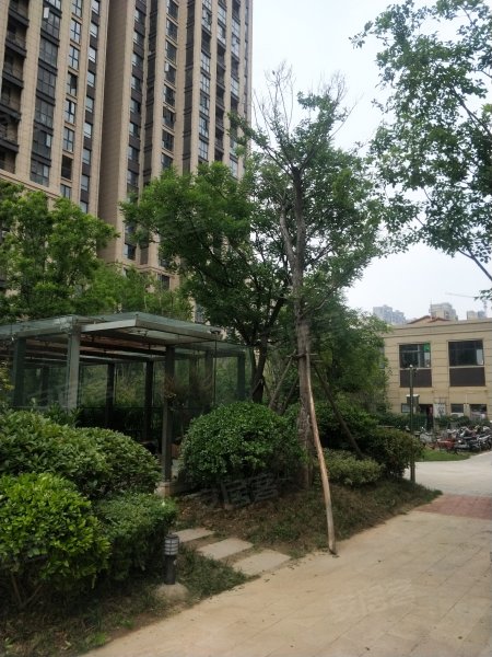 信华城,神火大道-商丘信华城二手房,租房,房价-商丘安居客