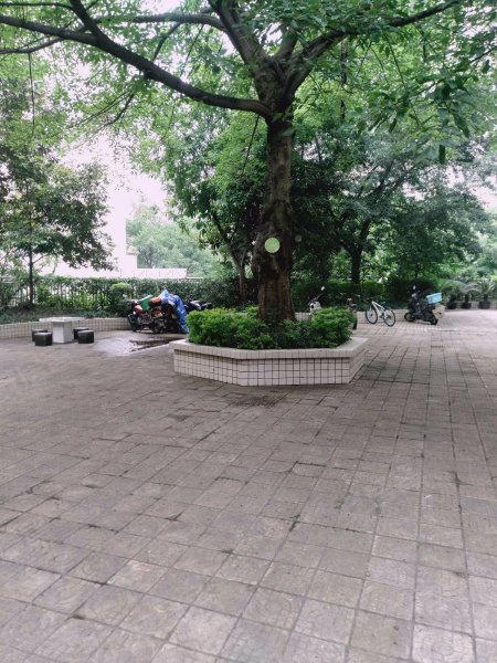 时代绿苑(二期),松北支路63号-重庆时代绿苑(二期)二手房,租房,房价