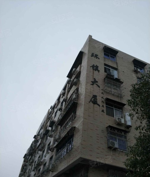 环镇大厦(莘塍)