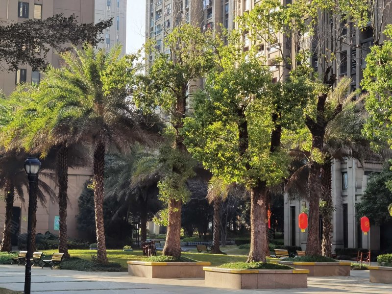 保利香槟国际二手房,505万,4室2厅,2卫,169.11平米-福州安居客