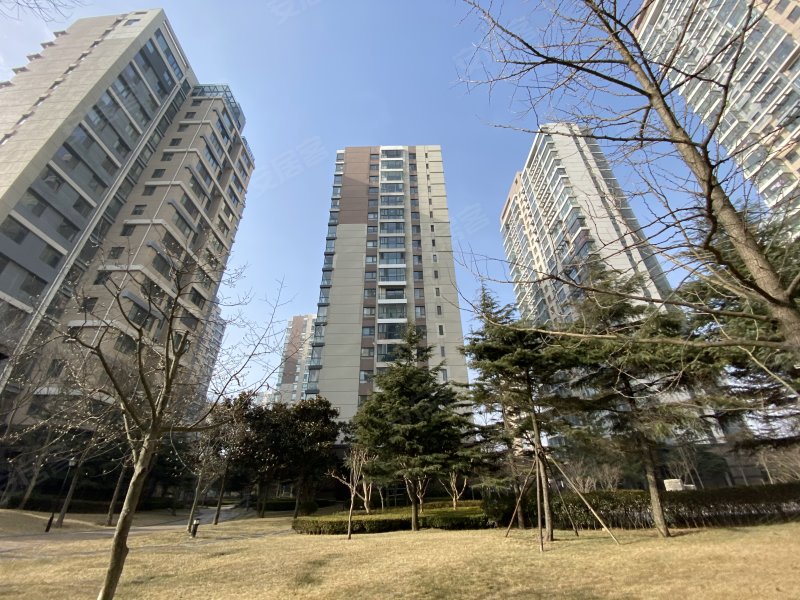 麦岛金岸,东海东路1号-青岛麦岛金岸二手房,租房,房价-青岛安居客