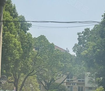 金山园中苑(别墅)