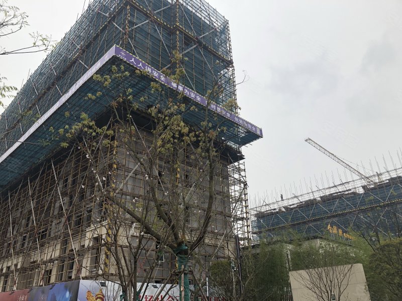 苍南金麟府,锦绣路-温州苍南金麟府二手房,租房,房价-温州安居客