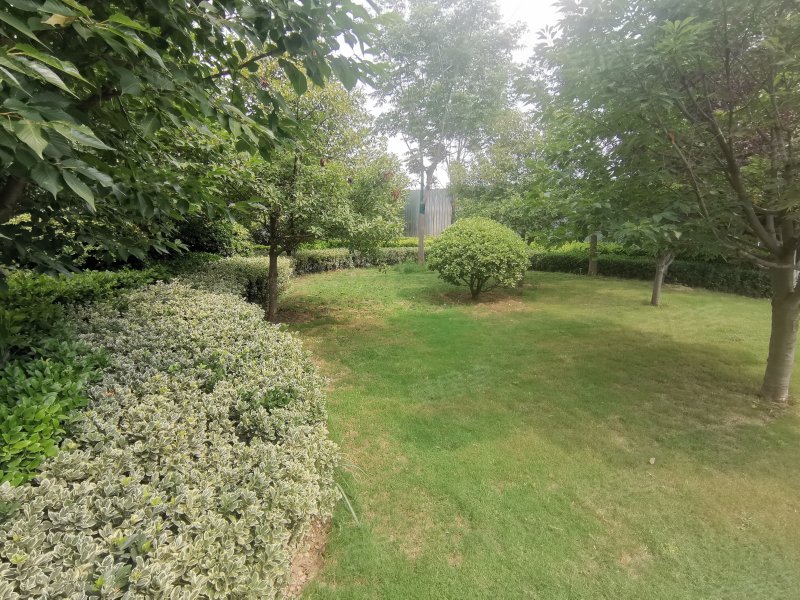 绿地公园城,新郑快速通道,近豫一路-郑州绿地公园城二手房,租房,房价