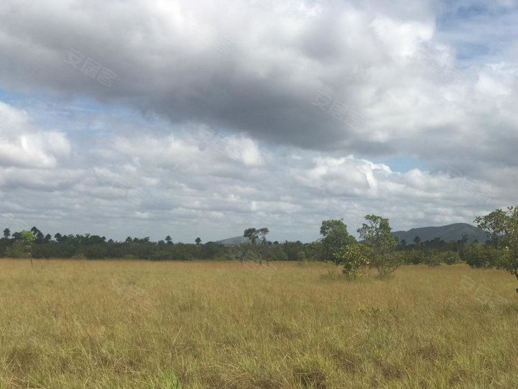 巴西约¥689万Plot of agricultural land for sale, 1040 hectares,二手房土地图片