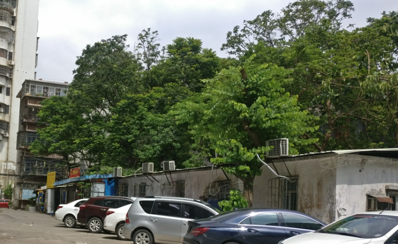 宝丰大厦,迎宾南路2018号-珠海宝丰大厦二手房,租房,房价-珠海安居客