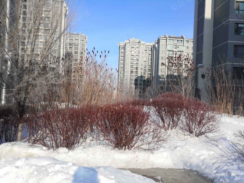 广汇雅山卧龙山庄,环卫南路西巷226号-乌鲁木齐广汇雅山卧龙山庄二手