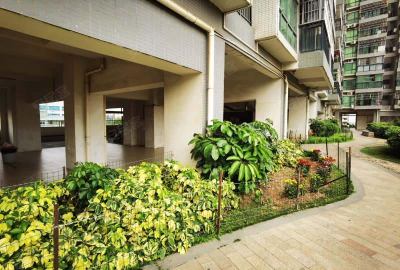 三友贤居,建安路-东莞三友贤居二手房,租房,房价-东莞安居客