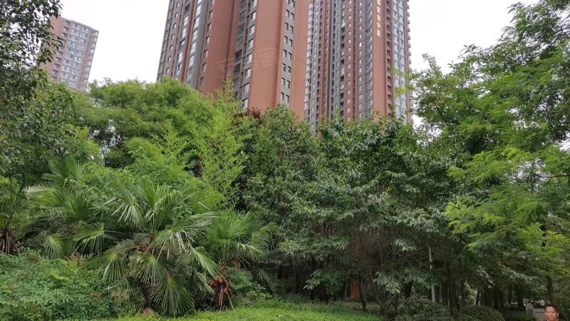 绿都紫荆华庭雅园