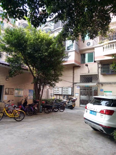 豪景花园,金湖三街1号-佛山豪景花园二手房,租房,房价-佛山安居客