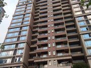 虎门龙泉豪苑568平方大平层豪宅急售!豪华装修