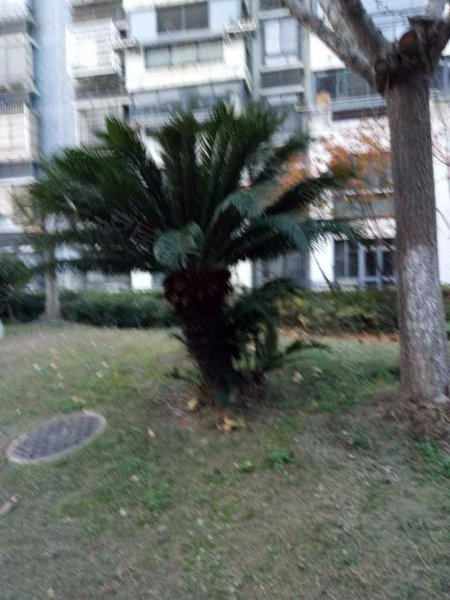 远景佳苑(三期) 