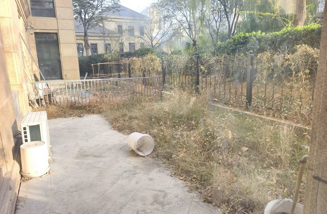 德州绿城百合花园3室2厅140.85㎡132.6万二手房图片