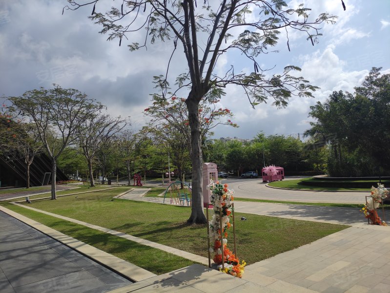崖州湾顺达花园,225国道-三亚崖州湾顺达花园二手房,租房,房价-三亚