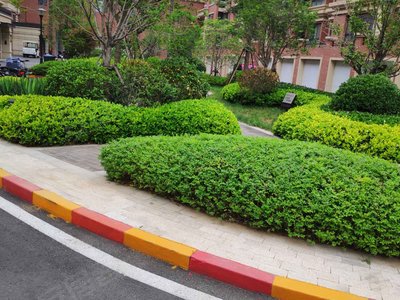 上善玺园小区图片相册,滕州上善玺园实景图,室外图,小区配套图-滕州