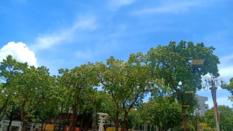 东洲花园,情侣路10号