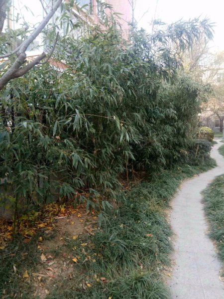 遗光寺2号院,香山路-北京遗光寺2号院二手房,租房,房价-北京安居客