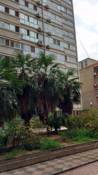 丽景花园(长安),北长安街222号-西安丽景花园(长安)二手房,租房,房价