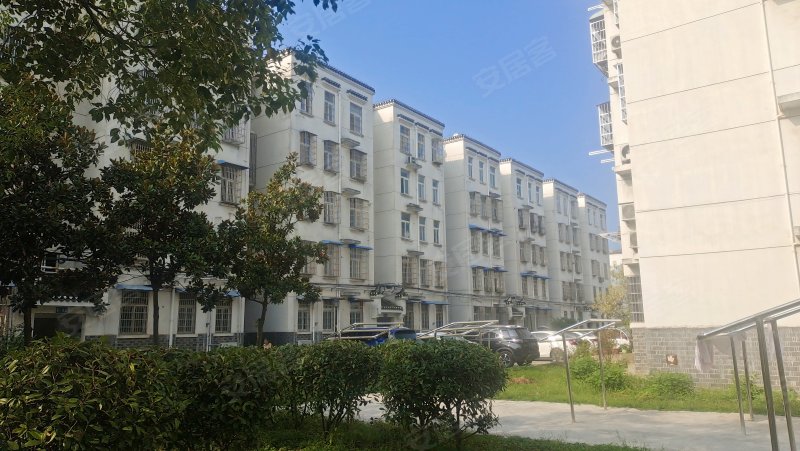 安居苑(三河),振宁路,近南京路-合肥安居苑(三河)二手房,租房,房价