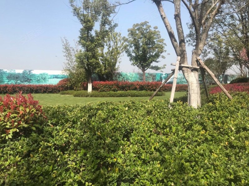 伟星蔚蓝海岸,中山南路495号-芜湖伟星蔚蓝海岸二手房,租房,房价-芜湖